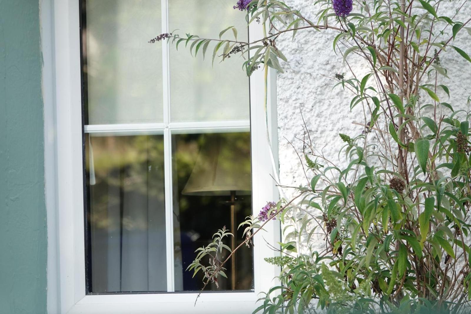 Clover Cottage Sligo Exterior foto